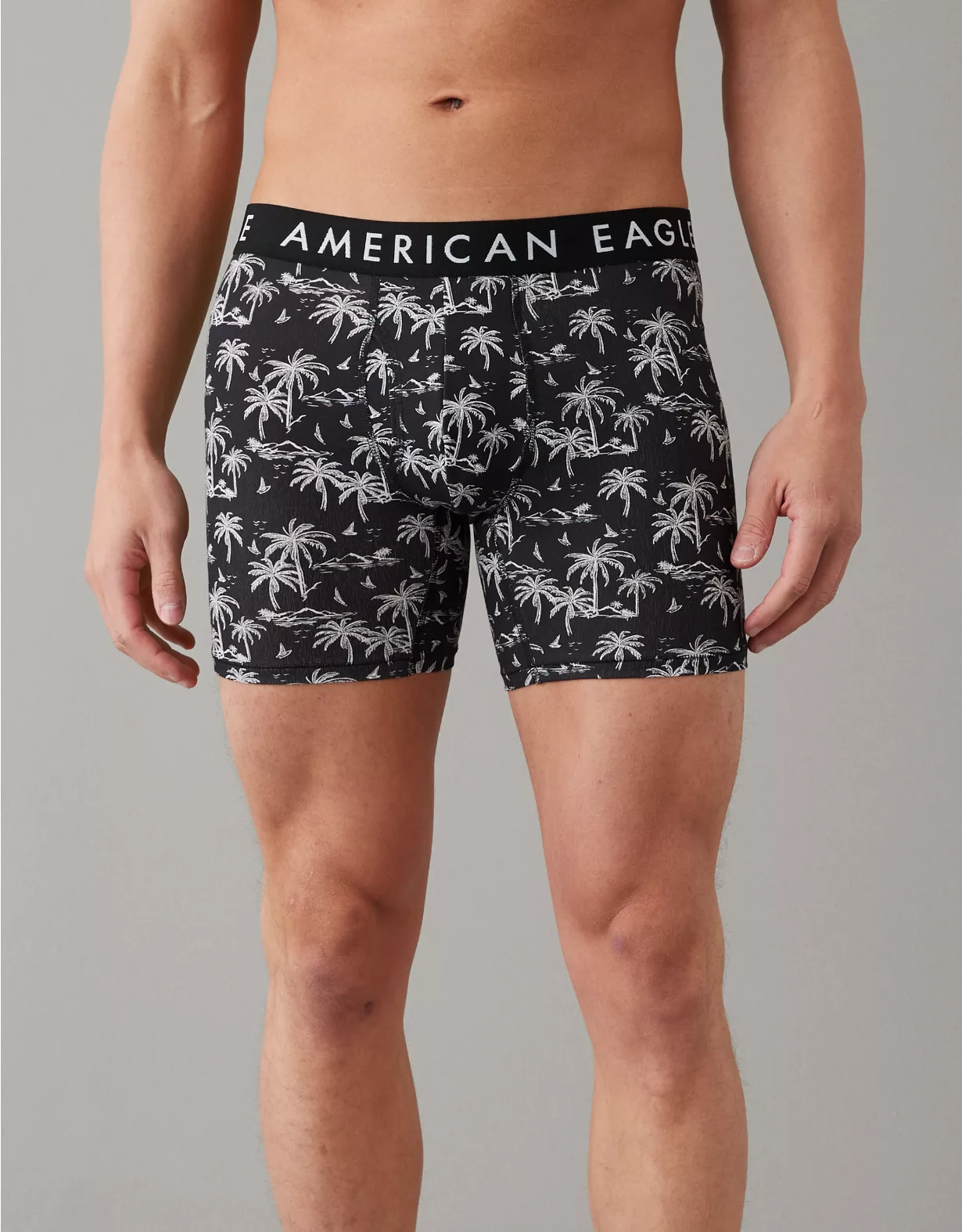 AEO Island Breeze 6" Classic Boxer Brief 1 AEO Island Breeze 6" Classic Boxer Brief