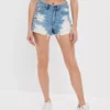AE Strigid Denim Mom Shorts