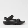 Aerie Tevas Hurricane Drift