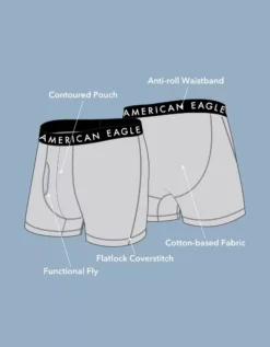 AEO Eagle 4.5" Classic Boxer Brief -Aeri Clothing Shop 3234 1101 073 d3